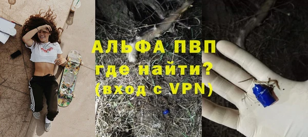 амф Верея