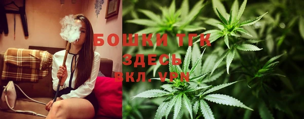 амф Верея