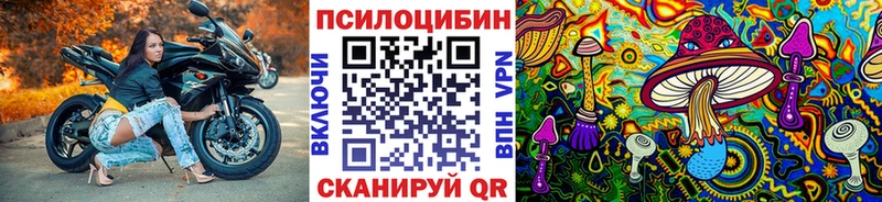 Галлюциногенные грибы мицелий  Петровск-Забайкальский 