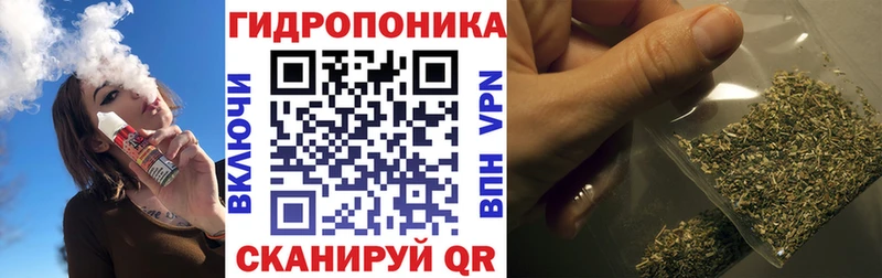 Бошки марихуана сатива  Петровск-Забайкальский 